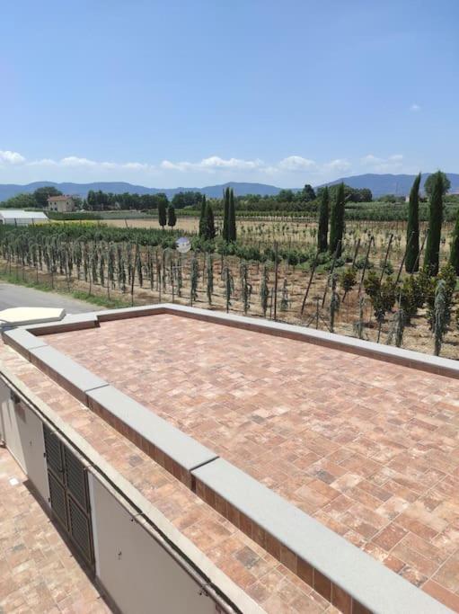 Affittacamere Villa Mary بستويا المظهر الخارجي الصورة